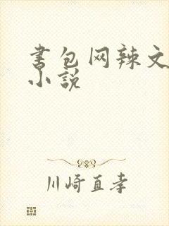 书包网辣文全本小说