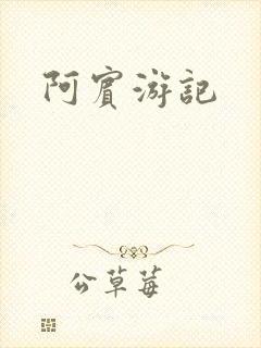 阿宾游记