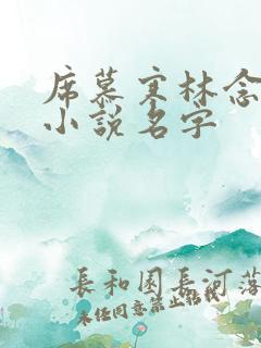 席慕寒林念儿的小说名字