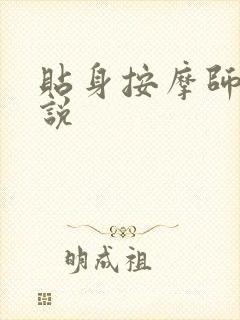 贴身按摩师 小说