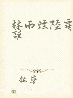 林雨烟陆霆琛小说