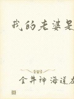 我的老婆是火影