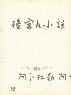 后宫h小说
