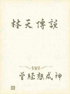林天传说