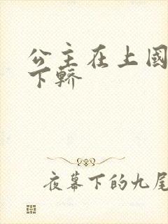 公主在上国师请下轿