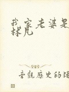 我家老婆是女帝林凡