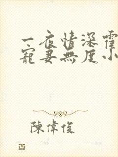 一夜情深霍先生宠妻无度小说免费阅读