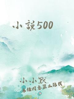 小说500