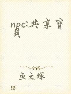 npc:共享宝贝