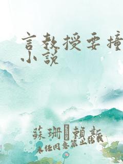 言教授要撞坏了小说