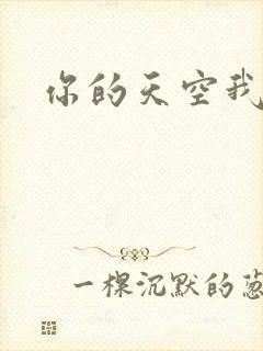 你的天空我的城