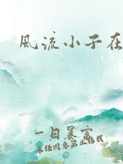 风流小子在异世