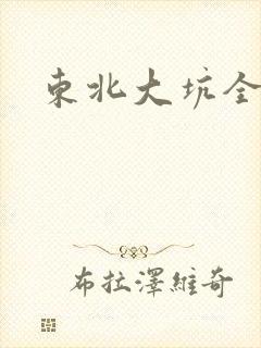 东北大坑全集