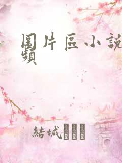 图片区小说区视频