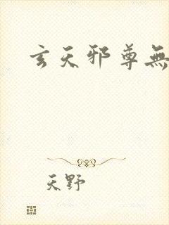 玄天邪尊无弹窗