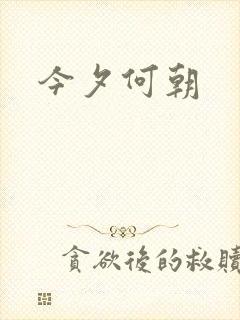 今夕何朝