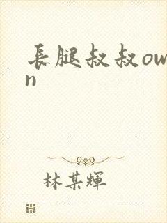 长腿叔叔owen