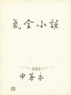氪金小说