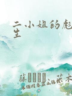 二小姐的彪悍人生