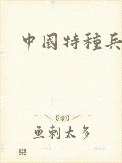 中国特种兵小说