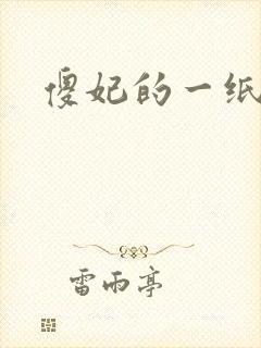 傻妃的一纸休书