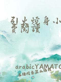 引火烧身小说免费阅读