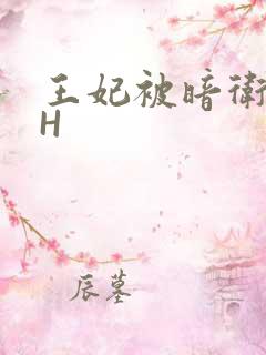 王妃被暗卫肉高H