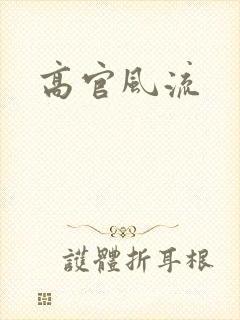 高官风流