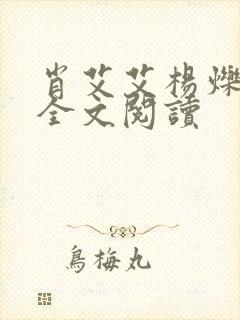 肖艾艾杨烁小说全文阅读