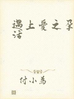 遇上爱之孕夫生活