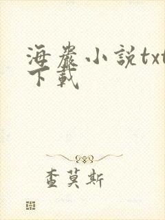 海岩小说txt下载