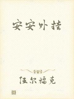 安安外挂