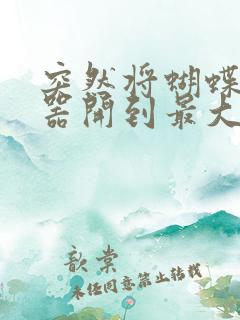 突然将蝴蝶遥控器开到最大