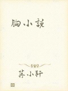 胸小说