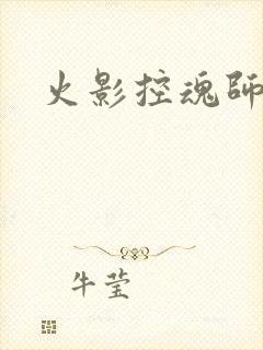 火影控魂师