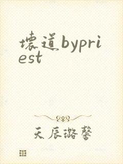 坏道bypriest