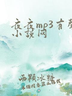 夜夜mp3有声小说网