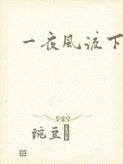 一夜风流下载