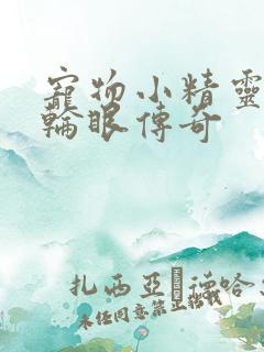 宠物小精灵之写轮眼传奇