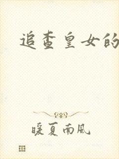 追查皇女的踪迹