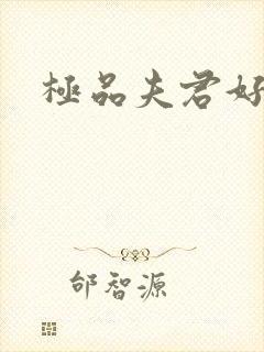 极品夫君好又多