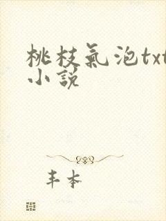 桃枝气泡txt小说