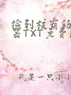 捡到校霸的遥控器TXT免费阅读