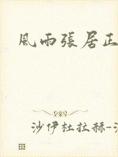 风雨张居正下载