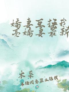 娇妻互换我的漂亮娇妻最新章节