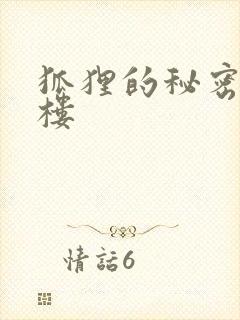 狐狸的秘密19楼