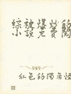 综被爆炒的日常小说免费阅读