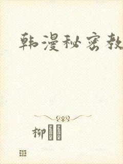 韩漫秘密教学