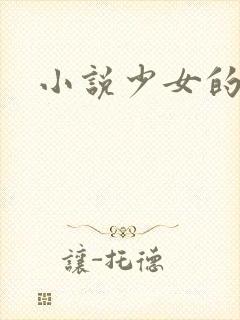 小说少女的心