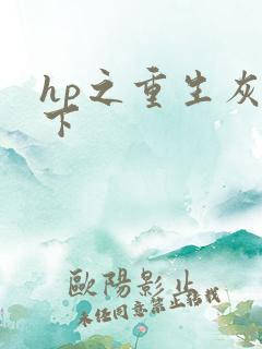 hp之重生灰猊下